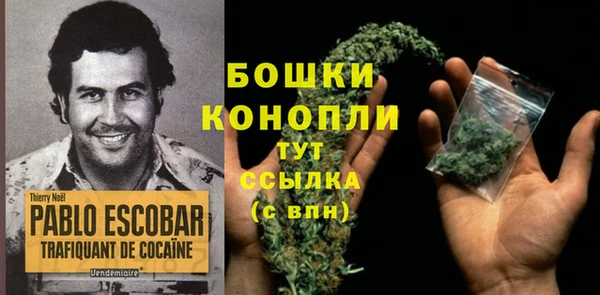 apvp Лиски