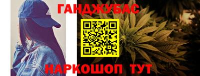 гидропоника Камышлов