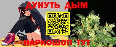 гидропоника Камышлов