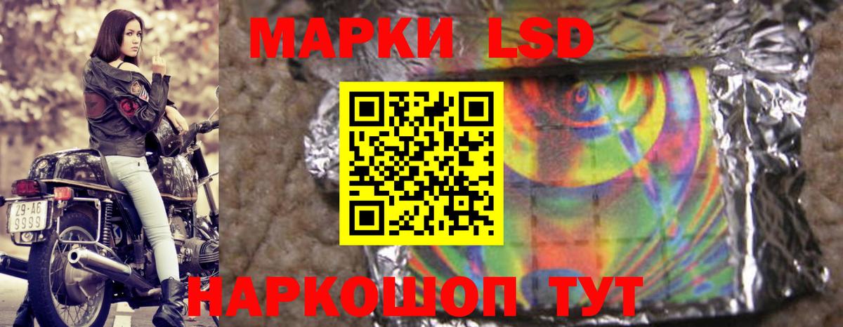 Ногинск  Лсд 25 экстази кислота  LSD-25 экстази кислота  Вход с VPN 