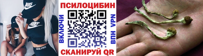 Галлюциногенные грибы Magic Shrooms Ногинск