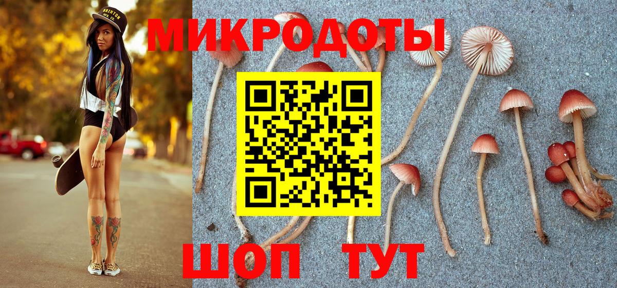 Ногинск  Галлюциногенные грибы Psilocybine cubensis  Галлюциногенные грибы Magic Shrooms  купить наркоту  Вход с VPN 