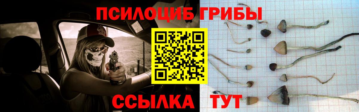 Галлюциногенные грибы Cubensis Ногинск